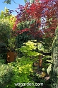 wbgarden spring 5